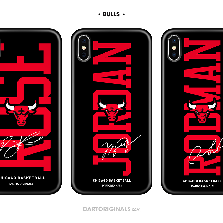 Icon Series: Bulls